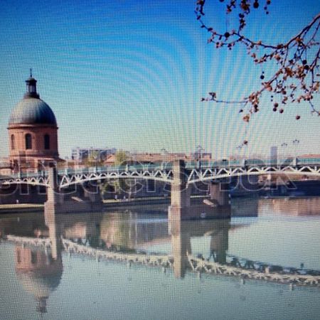 Le Saint Cyp - Toulouse - Appart Entier Cosy Et Au Calme, Proche Du Metro Exteriér fotografie