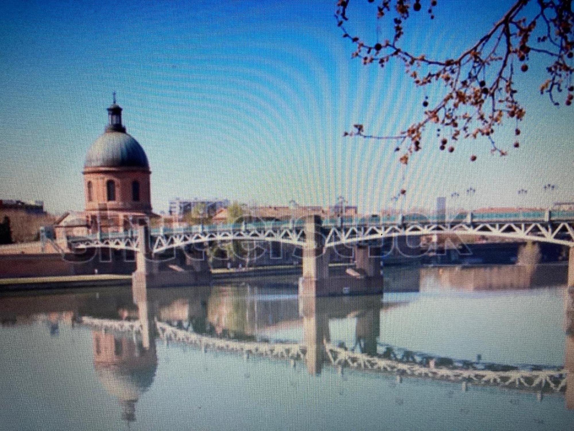 Le Saint Cyp - Toulouse - Appart Entier Cosy Et Au Calme, Proche Du Metro Exteriér fotografie